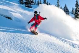 Hostellerie du Petit Saint Bernard -activités - ski